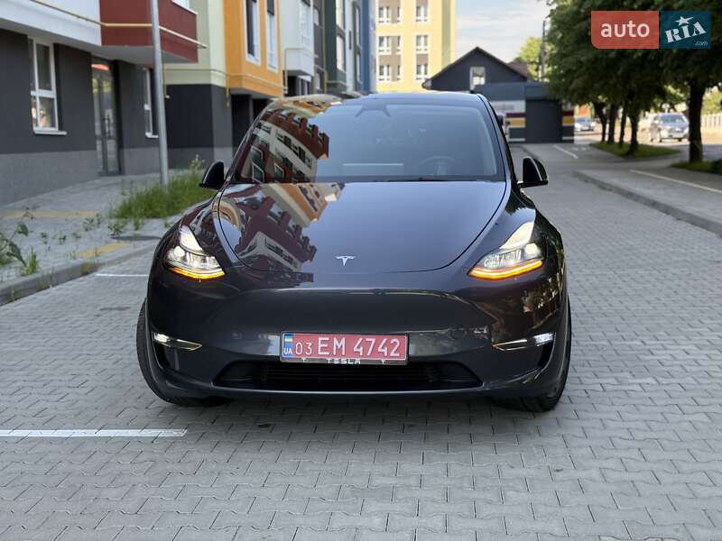 Позашляховик / Кросовер Tesla Model Y 2023 в Чернівцях