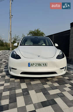 Позашляховик / Кросовер Tesla Model Y 2023 в Запоріжжі