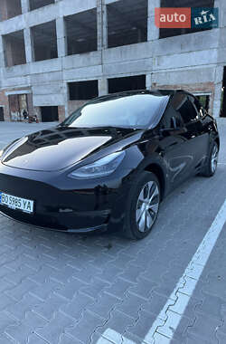 Позашляховик / Кросовер Tesla Model Y 2023 в Тернополі