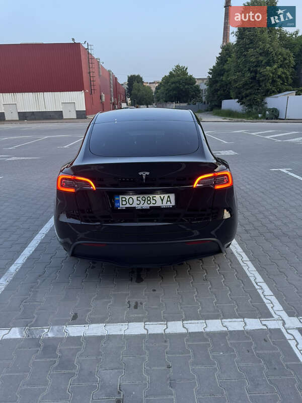 Внедорожник / Кроссовер Tesla Model Y 2023 в Тернополе
