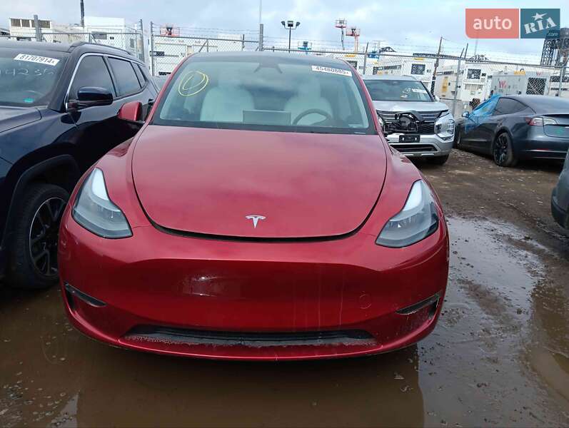 Внедорожник / Кроссовер Tesla Model Y 2024 в 