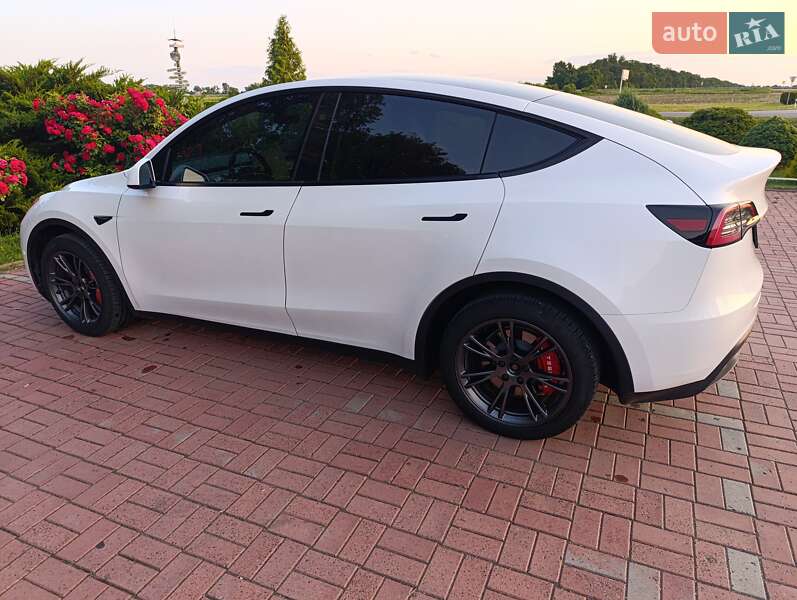 Позашляховик / Кросовер Tesla Model Y 2024 в Києві