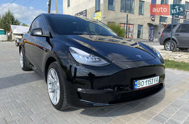 Позашляховик / Кросовер Tesla Model Y 2021 в Тернополі