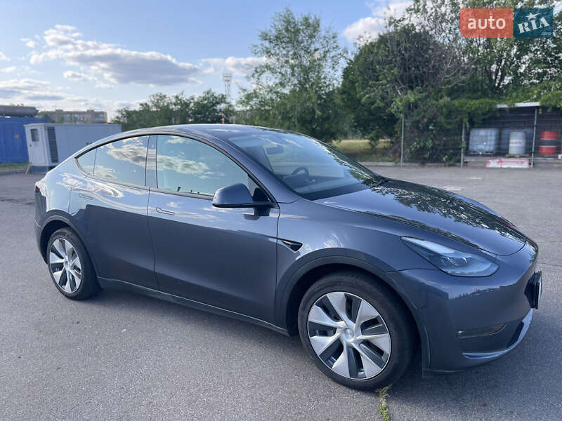 Внедорожник / Кроссовер Tesla Model Y 2022 в Кривом Роге