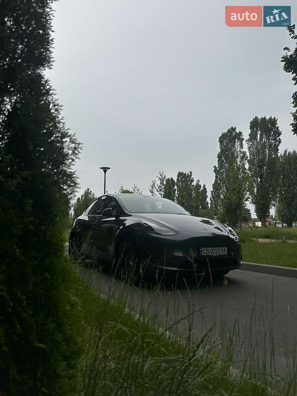 Позашляховик / Кросовер Tesla Model Y 2024 в Чернігові
