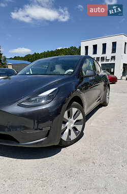 Внедорожник / Кроссовер Tesla Model Y 2024 в 