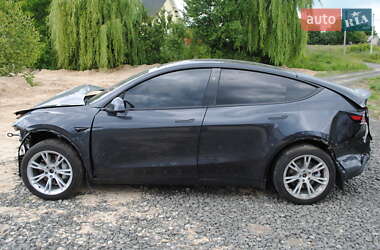 Внедорожник / Кроссовер Tesla Model Y 2024 в 