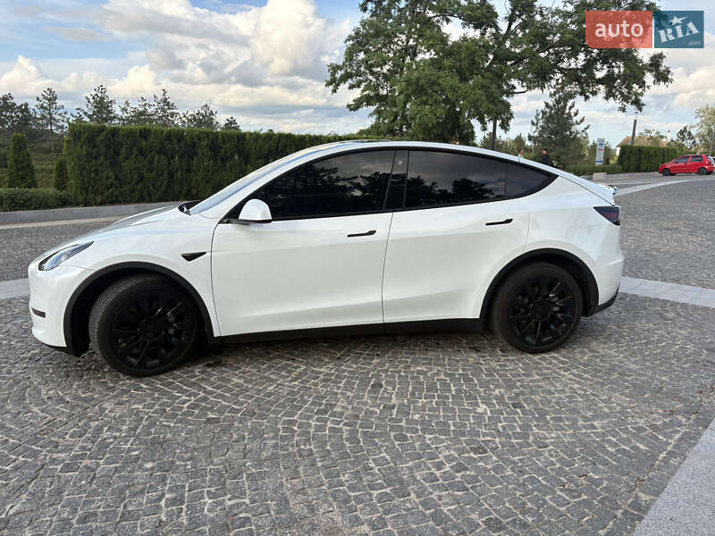 Внедорожник / Кроссовер Tesla Model Y 2023 в Днепре