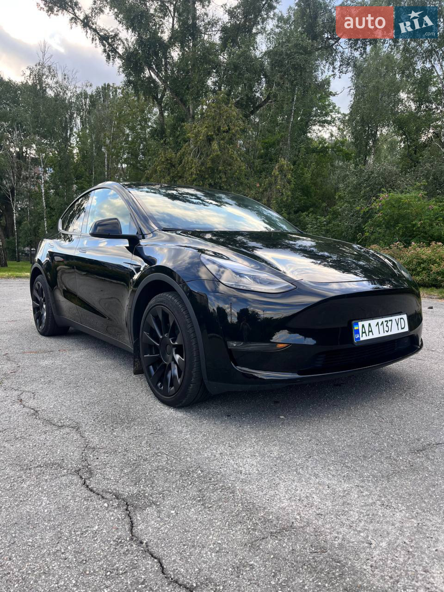 2023 Tesla Model Y - мініатюра 23