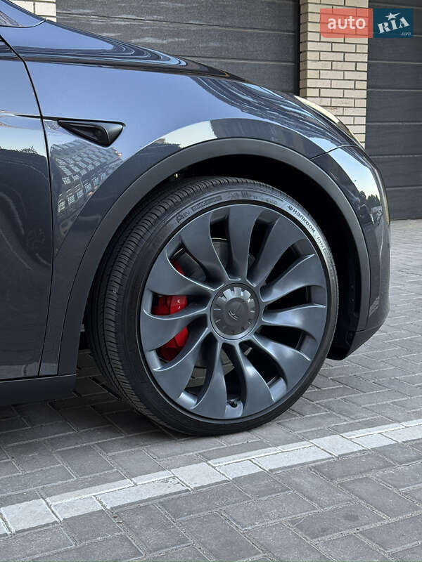 Внедорожник / Кроссовер Tesla Model Y 2024 в Житомире