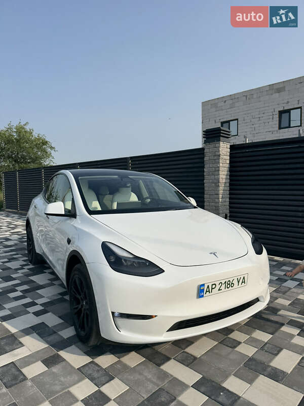 Внедорожник / Кроссовер Tesla Model Y 2023 в Запорожье