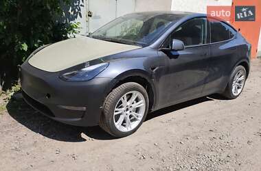 Внедорожник / Кроссовер Tesla Model Y 2024 в Житомире