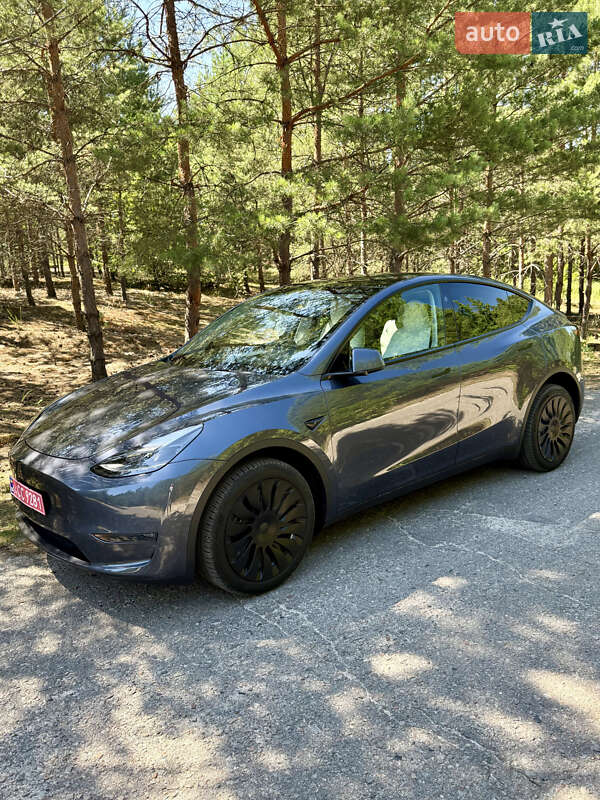 Позашляховик / Кросовер Tesla Model Y 2023 в Києві
