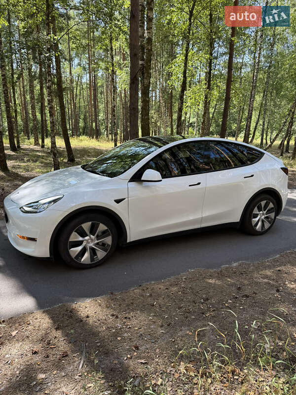 Внедорожник / Кроссовер Tesla Model Y 2022 в Ирпене