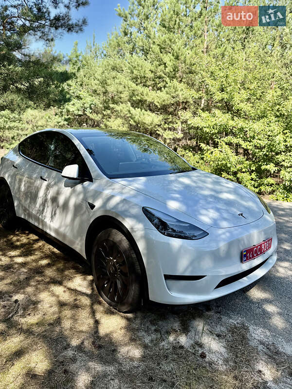 Позашляховик / Кросовер Tesla Model Y 2023 в Києві
