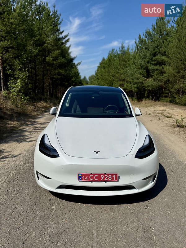 Позашляховик / Кросовер Tesla Model Y 2023 в Києві