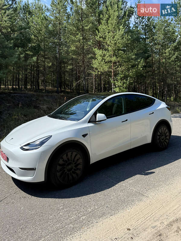 Позашляховик / Кросовер Tesla Model Y 2023 в Києві