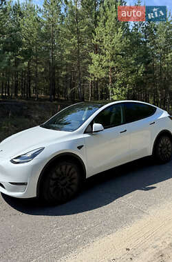 Позашляховик / Кросовер Tesla Model Y 2023 в 