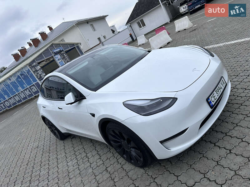 Внедорожник / Кроссовер Tesla Model Y 2022 в Черновцах
