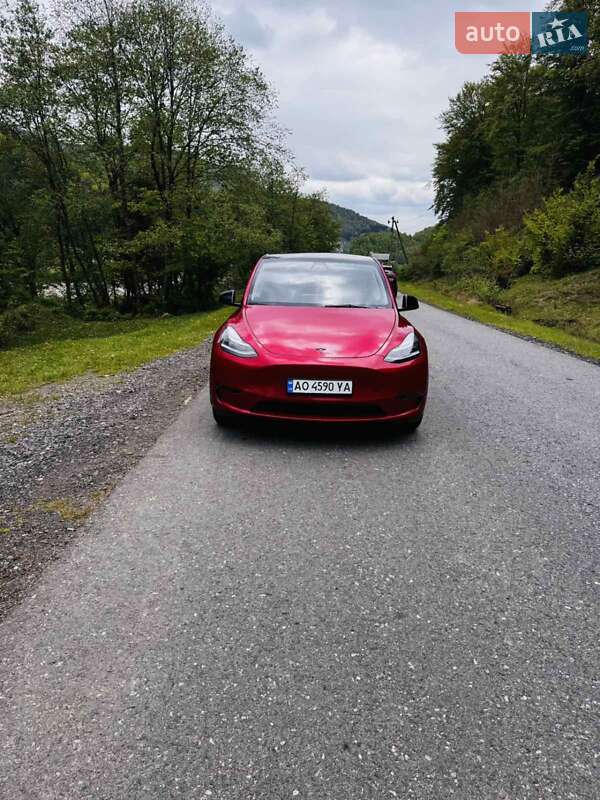 Позашляховик / Кросовер Tesla Model Y 2023 в Міжгір'ї