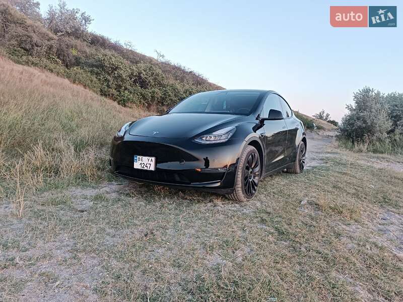 Внедорожник / Кроссовер Tesla Model Y 2020 в Николаеве