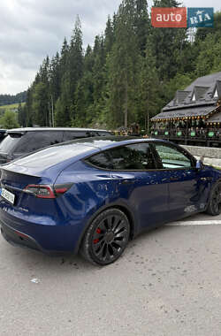 Внедорожник / Кроссовер Tesla Model Y 2020 в Буковеле