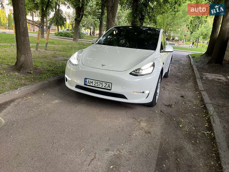 Внедорожник / Кроссовер Tesla Model Y 2023 в Житомире