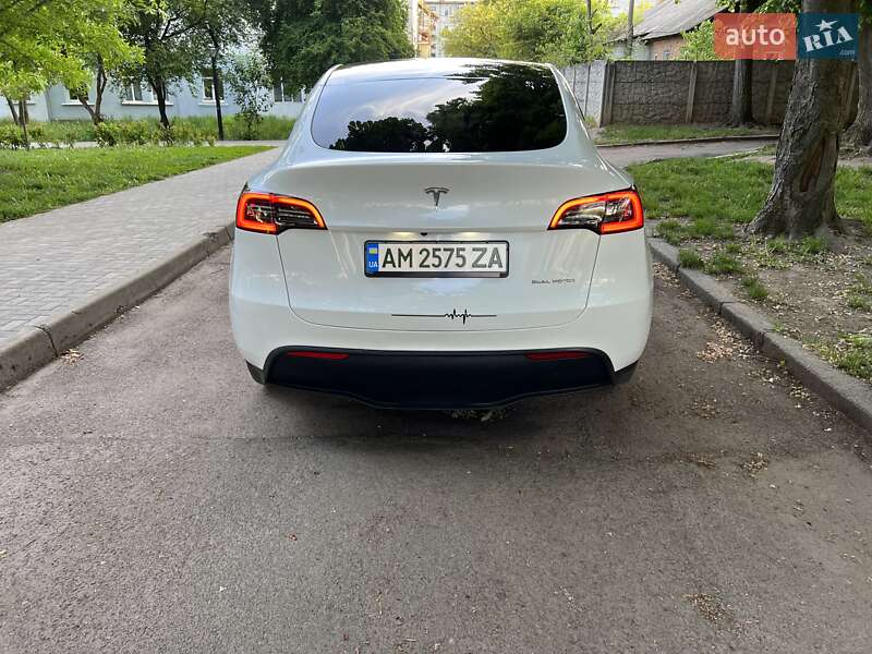 Внедорожник / Кроссовер Tesla Model Y 2023 в Житомире
