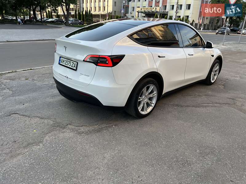 Внедорожник / Кроссовер Tesla Model Y 2023 в Житомире