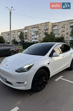 Внедорожник / Кроссовер Tesla Model Y 2023 в 