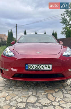 Внедорожник / Кроссовер Tesla Model Y 2023 в Киеве