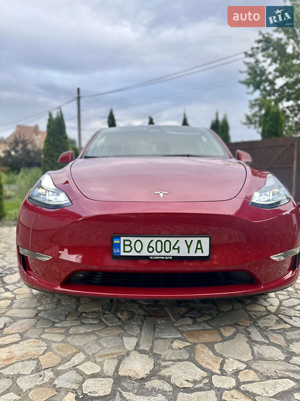 Внедорожник / Кроссовер Tesla Model Y 2023 в Киеве