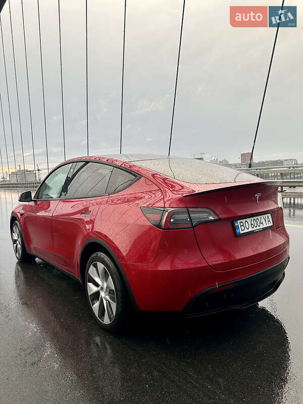 Внедорожник / Кроссовер Tesla Model Y 2023 в Киеве