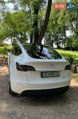 Внедорожник / Кроссовер Tesla Model Y 2020 в 