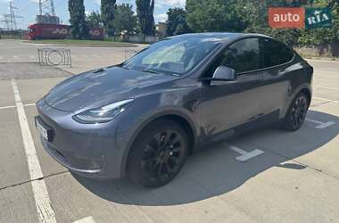 Позашляховик / Кросовер Tesla Model Y 2023 в Києві