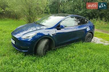 Позашляховик / Кросовер Tesla Model Y 2022 в Івано-Франківську