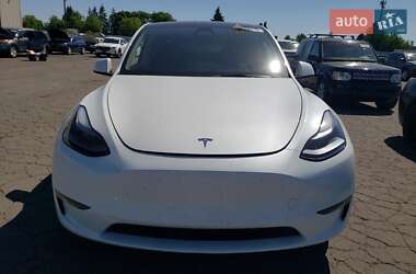 Внедорожник / Кроссовер Tesla Model Y 2025 в 