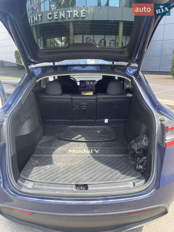 Внедорожник / Кроссовер Tesla Model Y 2020 в Кривом Роге