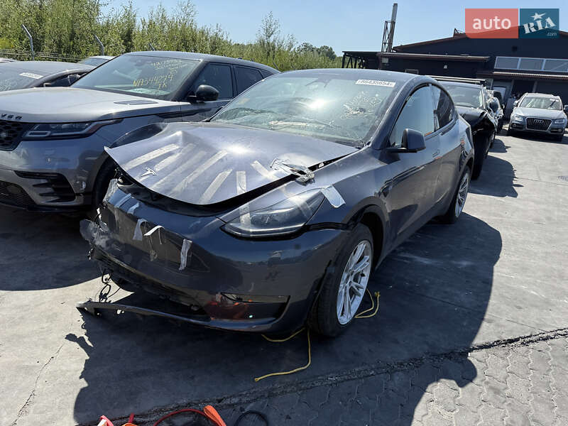 Внедорожник / Кроссовер Tesla Model Y 2023 в 