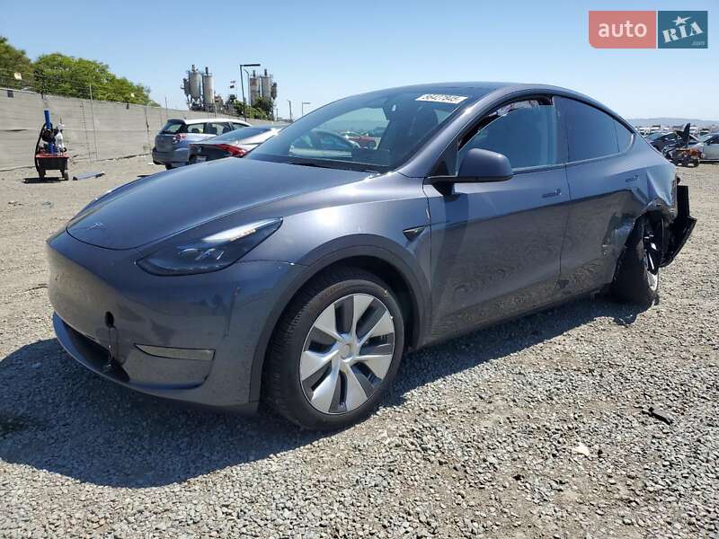 Внедорожник / Кроссовер Tesla Model Y 2023 в Киеве