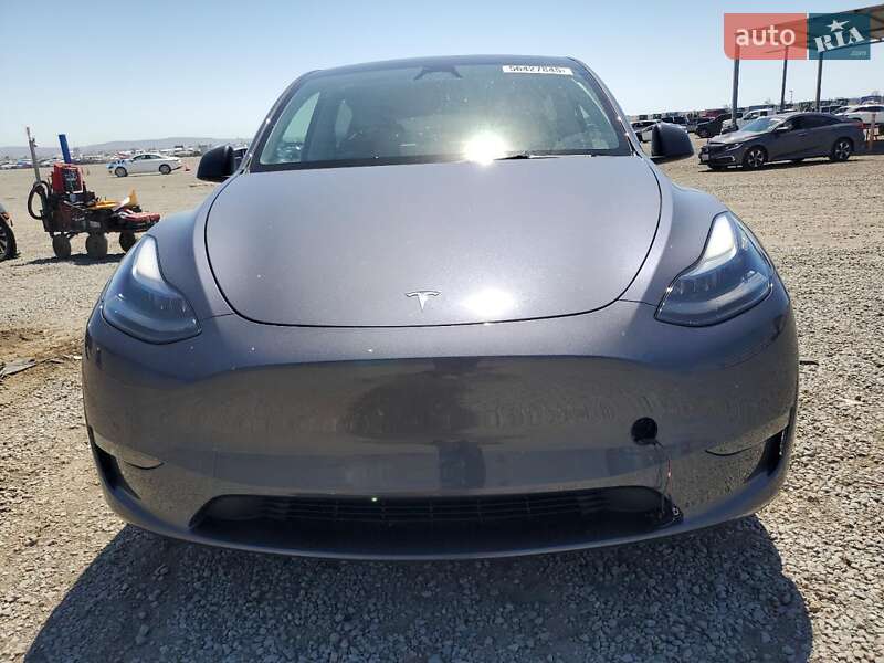 Внедорожник / Кроссовер Tesla Model Y 2023 в Киеве