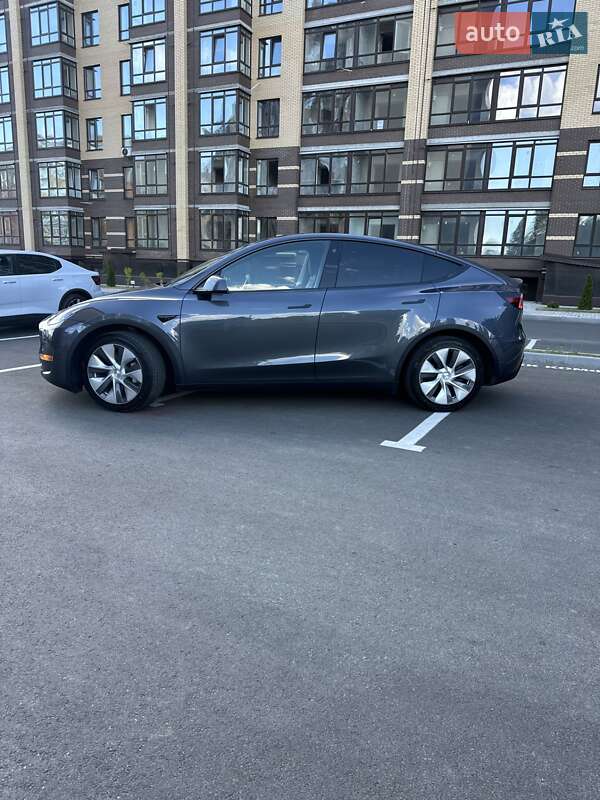Позашляховик / Кросовер Tesla Model Y 2023 в Чернігові
