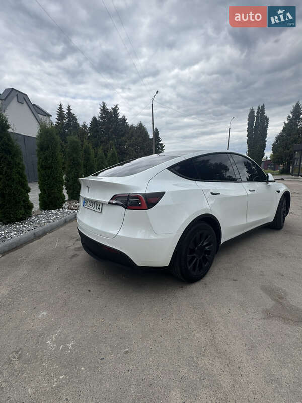 Позашляховик / Кросовер Tesla Model Y 2021 в Рівному