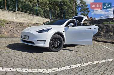 Внедорожник / Кроссовер Tesla Model Y 2021 в Ужгороде