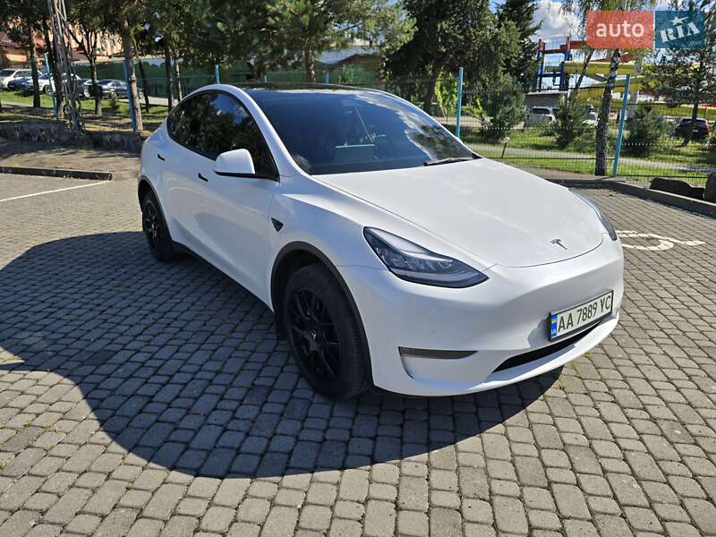 Внедорожник / Кроссовер Tesla Model Y 2021 в Ужгороде