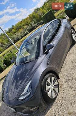 Внедорожник / Кроссовер Tesla Model Y 2021 в Днепре