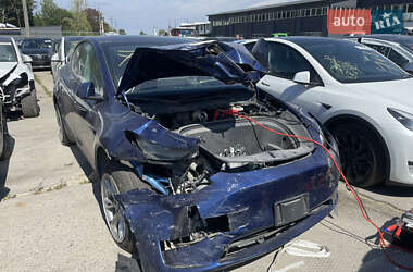 Позашляховик / Кросовер Tesla Model Y 2023 в Львові