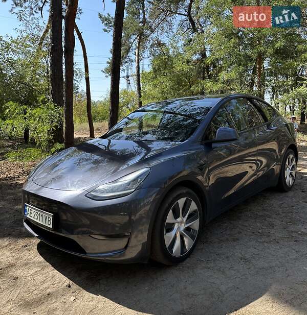 Позашляховик / Кросовер Tesla Model Y 2021 в Дніпрі