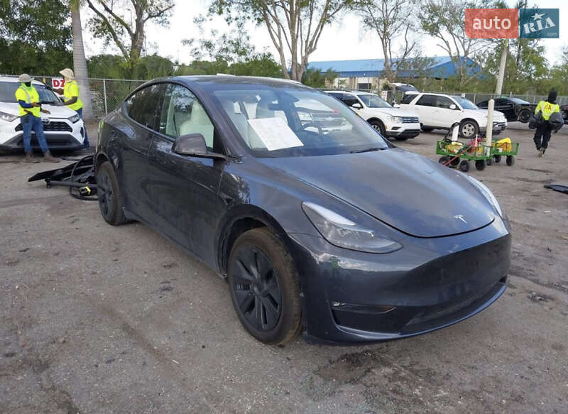 Внедорожник / Кроссовер Tesla Model Y 2024 в Львове