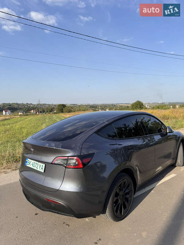 Позашляховик / Кросовер Tesla Model Y 2023 в Рівному